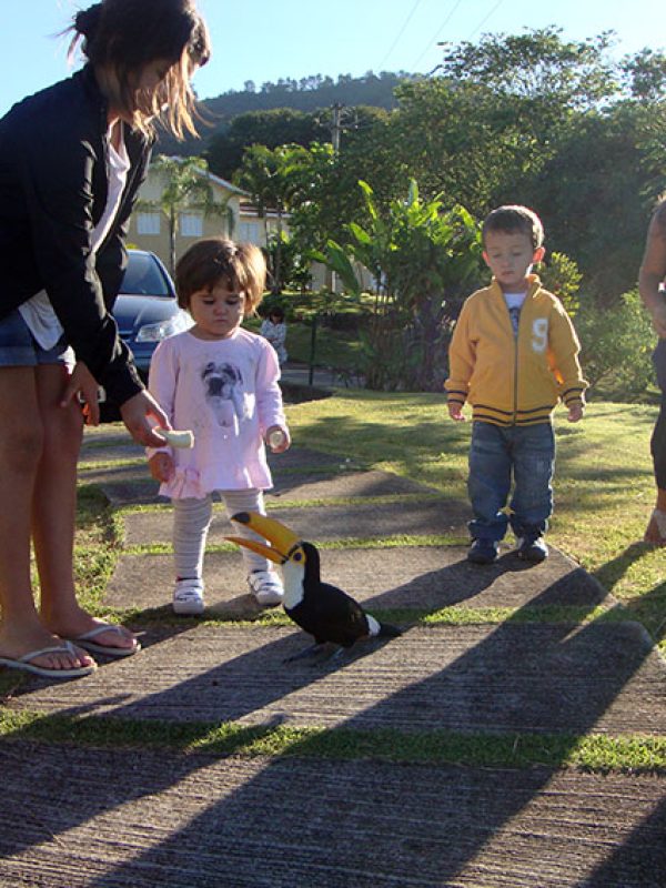 Brincando com o Tucano